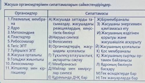 Жасуша органоидтерімен сипаттамаларын сәйкестендіріндер.​