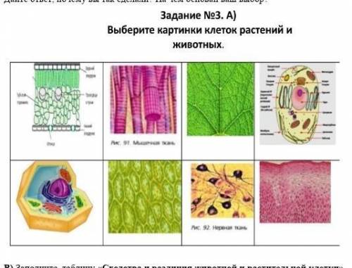 Задание No3. А) Выберите картинки клеток растений и животных. Дайте ответ, почему вы так сделали? На