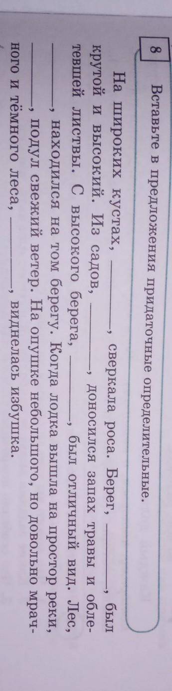 Вставьте в предложения придаточные определительные.​