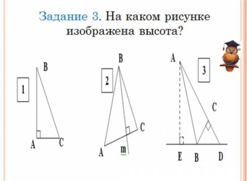 на каком рисунке изобрадена высота?​