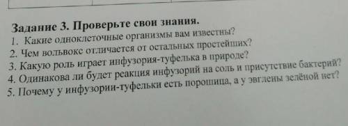 умоля либо два поставят и будет 4 у отлицницы одна​