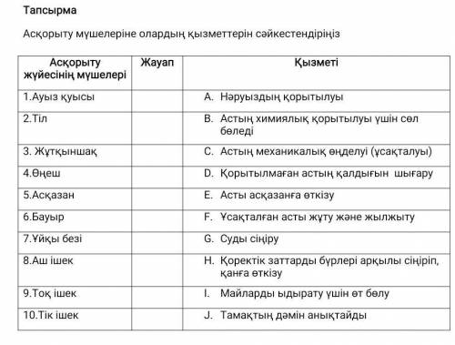 Асқорыту мүшелеріне олардың қызметтерін сәйкестендіріңіз Асқорыту жүйесінің мүшелеріЖауапҚызметі1.Ау