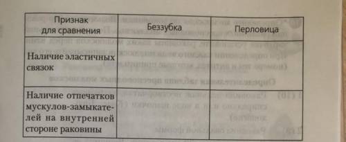 Сравнительная характеристика раковин беззубки и перловицы