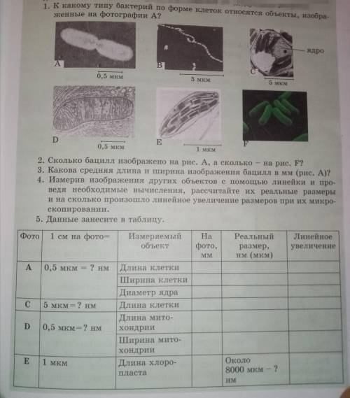 сделать задание, все что на этом фото.