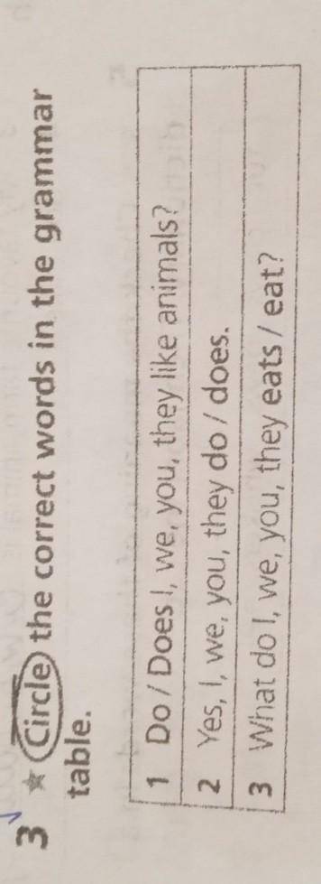 3 Circe the correct words in the grammartable​