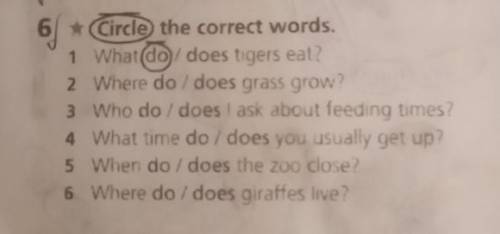 6 *Circle the correct words. 1 What do does tigers eat?2 Where do / does grass grow?3 Who do / does