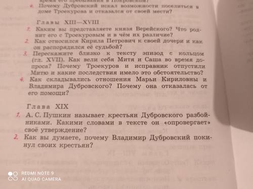 Роман Дубровский , вопросы по 13-18, 19 главам