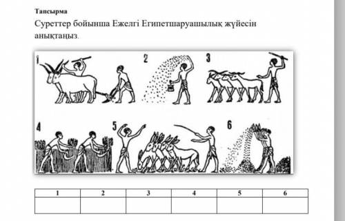 Суреттер бойынша Ежелгі Египетшаруашылық жүйесін анықтаңыз​