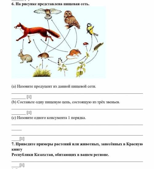 На рисунке представлена пищевая сеть. (а) Назовите продуцент из данной пищевой сети. [1](b) Составьт