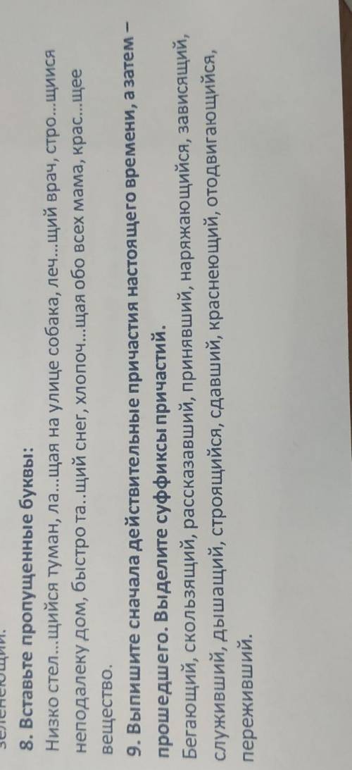 8. Вставьте пропущенные буквы: Низко стел...щийся туман, ла...щая на улице собака, леч...щий врач, с