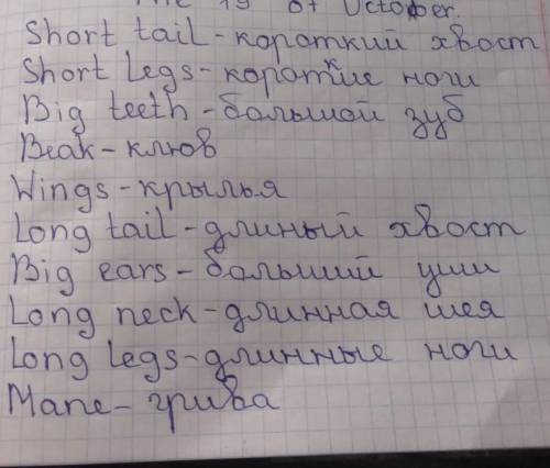 С этими словами на английском напишите предложения чтобы там были животные ​