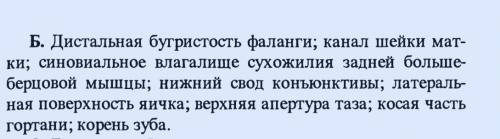 Перевести с русского на латынь ор