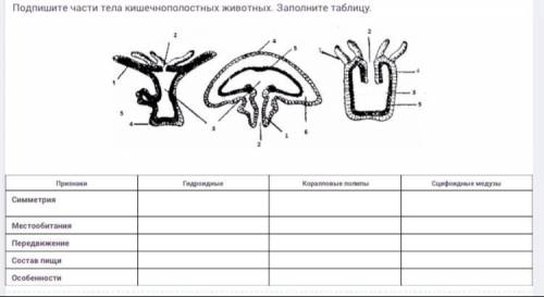 Подпишите части тела кишечнополостных животных.Заполните таблицу.Буду благодарна.