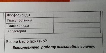 таблица функции мембранных белков фосфолипидов , гликопротеинов ,гликолипидов ,холестерола с таблице