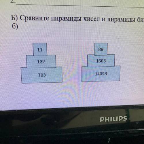 Б) Сравните пирамиды чисел и пирамиды биомассы и укажите одно сходство и одно отличие (2 б) 11 88 13