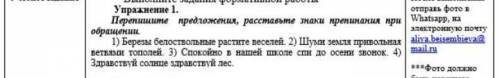 Перепишите предложения,раставьте знаки препинания,при обращении