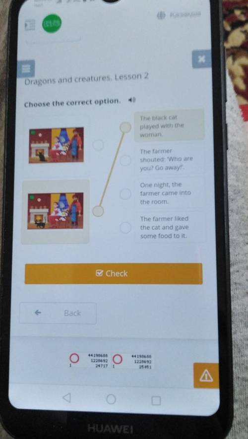 Dragons and creatures. Lesson 2 Choose the correct option.The black catplayed with thewoman.The farm