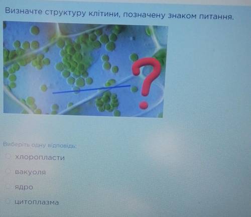 Биология 6 класс. Что за структура показана знаком вопросом? ​