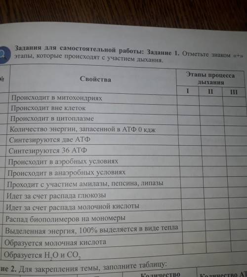 Отметьте знаком + этапы, которые происходят с участиям дыхания​