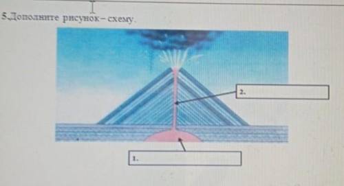 Даполните рисунок схему ​