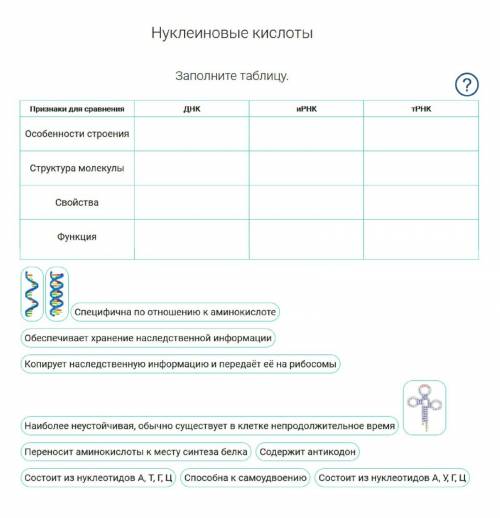 Биология. Тест по теме Нуклеиновые Кислоты