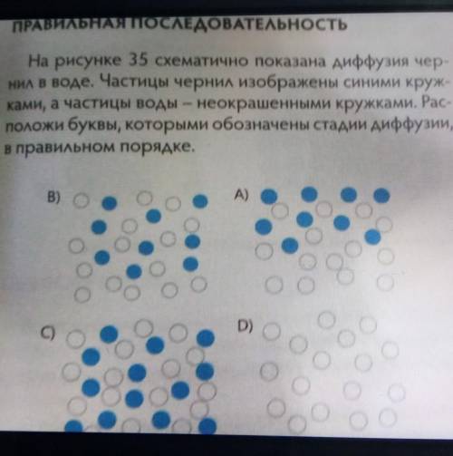 ПРАВИЛЬНАЯ ПОСЛЕДОВАТЕльность На рисунке 35 схематично показана диффузия чер-на в воде. Частицы черн