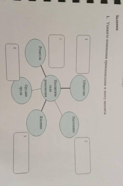 1. Укажите изменения произошедшие в эпоху неолита ОбществоНаселениеНеотичереволюшняЖитиеРемесла3Оруд