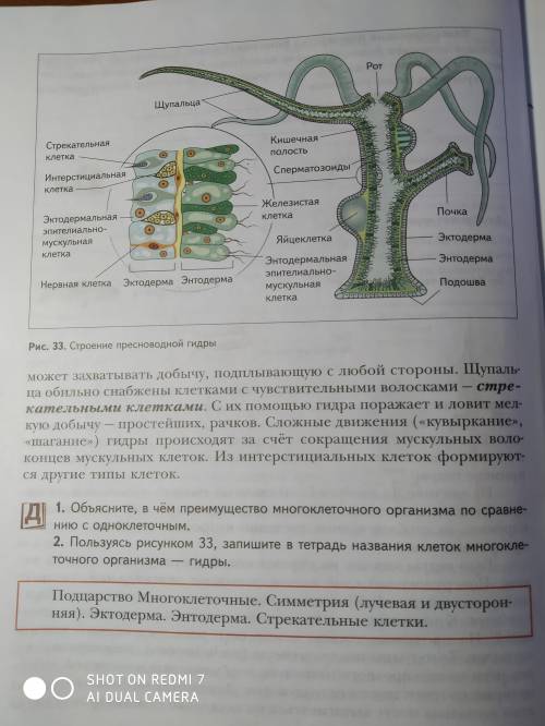 выполнить задание под цифрой 2.