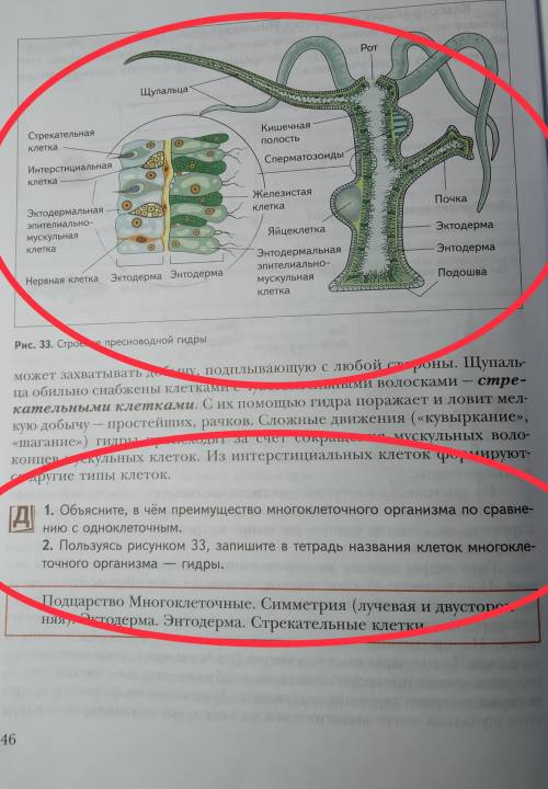 решить задание под цифрой 2