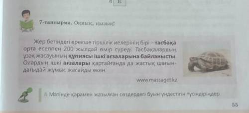 7 тапсырма через 30 мин урок​