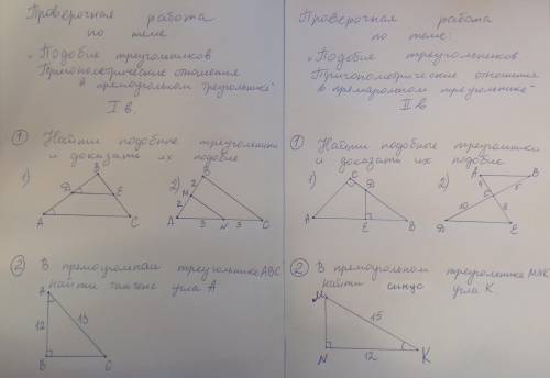 с тригонометрией 2 вариант полностью (с Дано решением и тд)