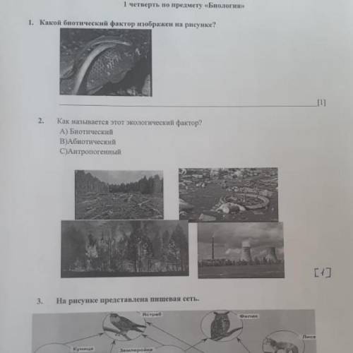 Соч по биологии 7 класс 1 четверть