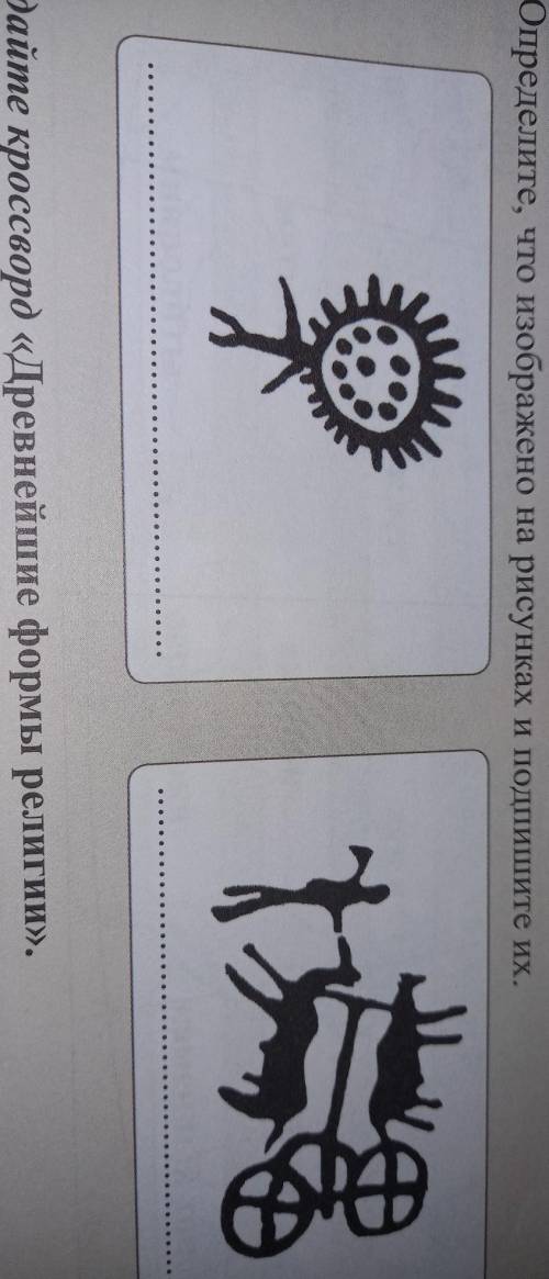 Определите, что изображено на рисунках и подпишите их.​