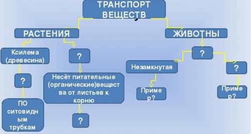 выполняем задание письменно Дополните схему