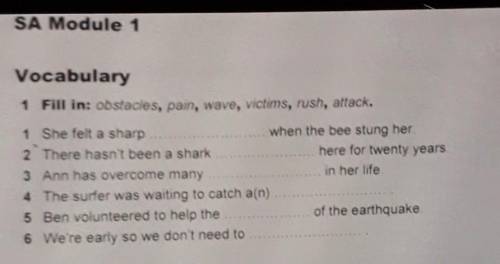 Vocabulary 1 Fill in: obstacles, pain, wave, victims, rush, attack.1 She felt a sharpwhen the bee st