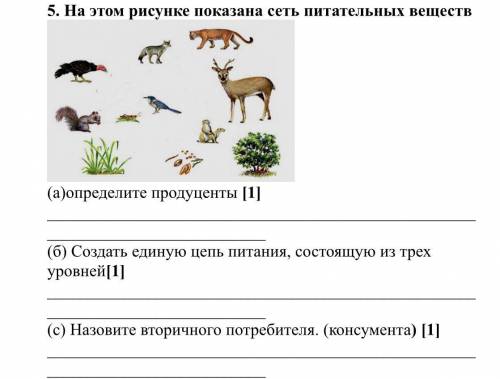 На этом рисунке показана сеть питательных веществ (a)определите продуценты (б) Создать единую цепь