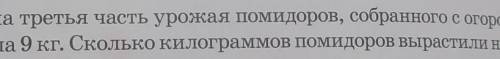 А) Четверть ящи находится в полном ящике?б)Вящике16кгяблок.Однучетвертуючастьиспользовалидляа)Кабачо