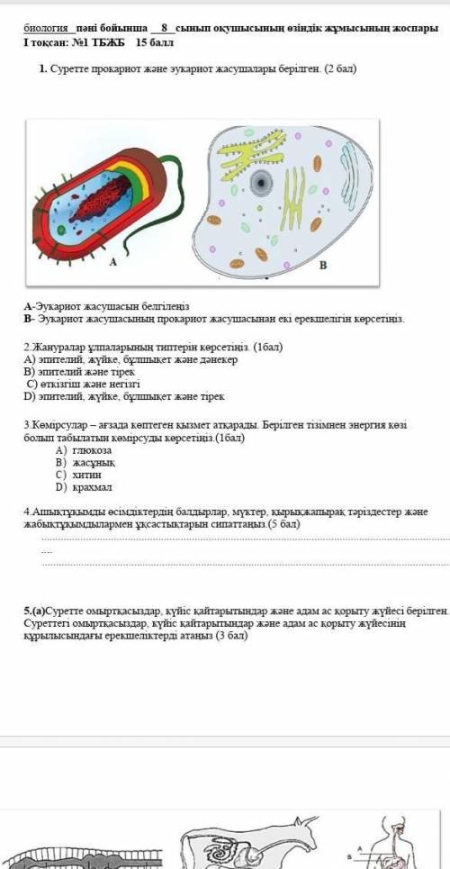 Тжб 8 класс 1 тоқсан биология​