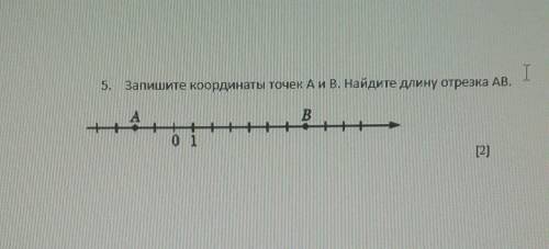 Запишите координаты точек A и B найдите длину отрезка A и B​