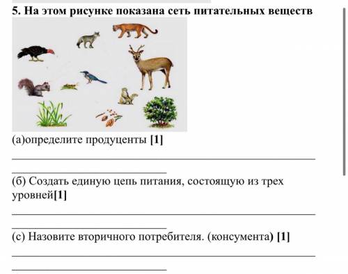 На этом рисунке показана сеть питательных веществ (a)определите продуценты [1] (б) Создать единую ц