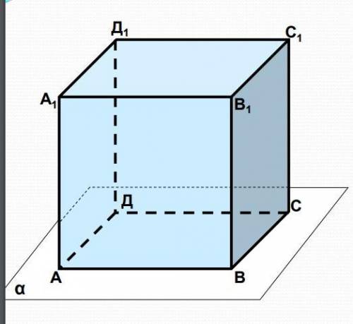 Дан куб ABCDA1B1C1D1. Найдите: 1) несколько точек, которые лежат в плоскости α; 2) несколько точек,