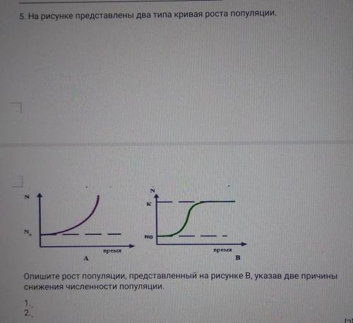 5. На рисунке представлены два типа кривая роста популяции. Опишите рост популяции, представленный н