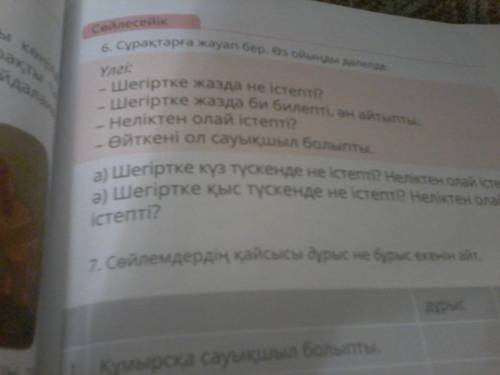 ответьте на вопросы на казахском языке Только вопросы а, ə 6 задание