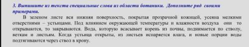 Выпишите из текста специальные слова из области ботаники. Дополните ряд своими примерами