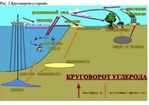 Объясните рисунок, 5 предложениях пожлуйста ♥️​