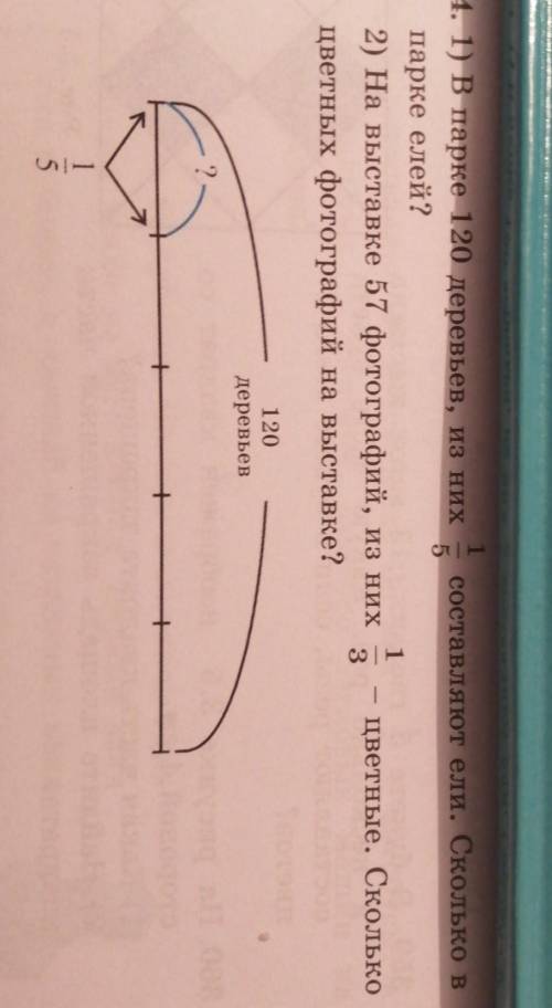35. I) В парке 120 деревьев, из них 1составляют ели. Сколько впарке елей?12) На выставке 57 фотограф