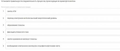 Установите правильную последовательность процессов, происходящих во время фотосинтеза.