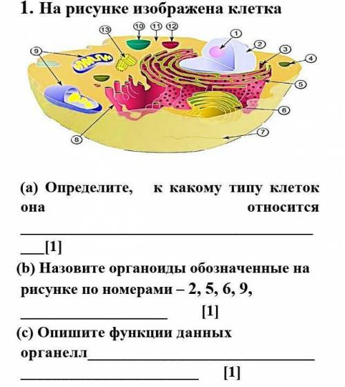 очень нужно,соч идет ! ​