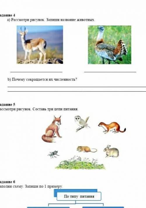 СОЧ естествознание 4класс