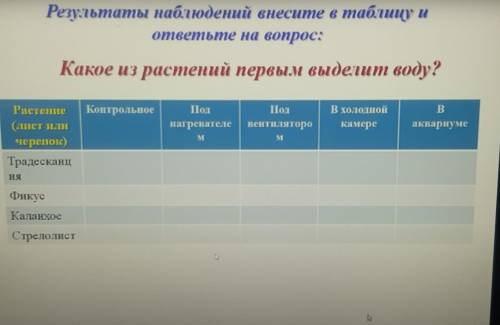 Контрольное ПолВ холоднойПолнагревателеMвентилятороРастение(лист иличеренок)ТрадесканцВаквариумекаме